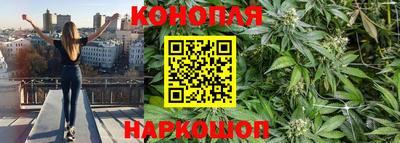 spice Балашиха