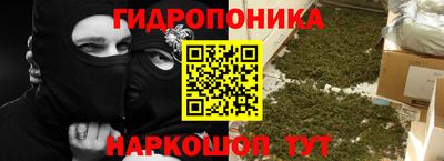 spice Балашиха