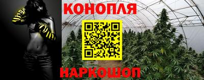 spice Балашиха